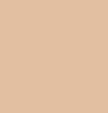 Korean Color-Changing Foundation stick