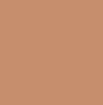 Korean Color-Changing Foundation stick